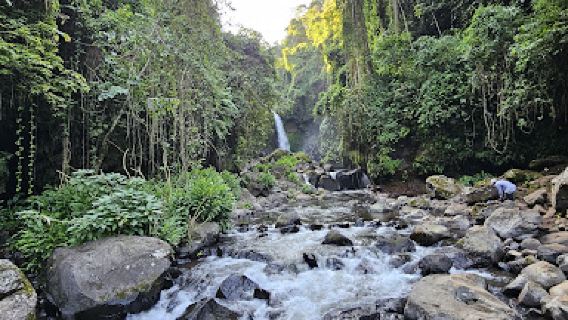 Kilasiya Water Falls
