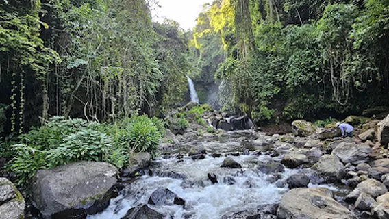 Kilasiya Water Falls