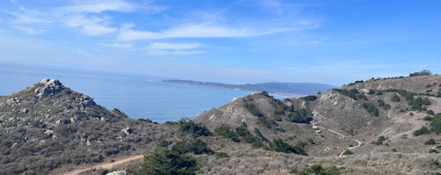 Tick Point