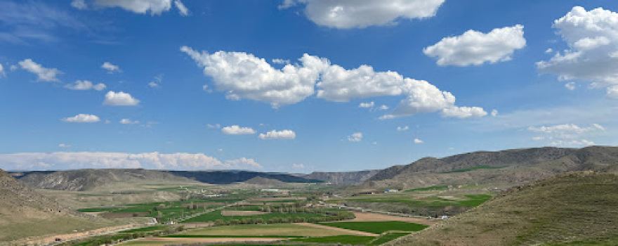 Thermal Bulamaçlı