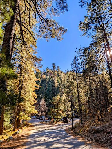 Marshall Gulch Picnic Area