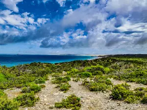 Templetonia Lookout