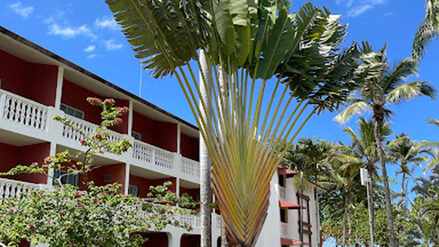 Be live collection Marien Theatrer