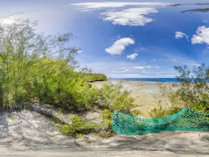 マウケ島