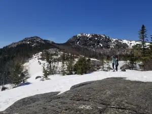 Brook Trail Head