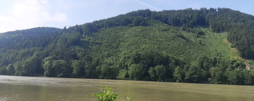 Donau