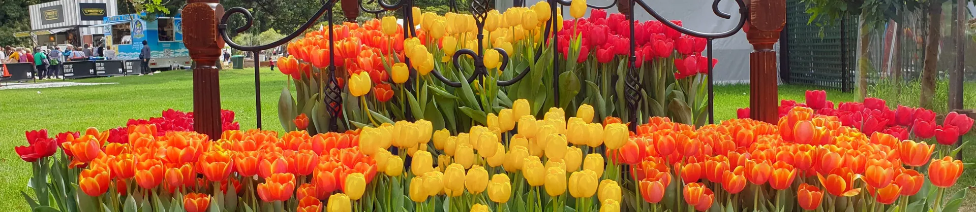 Spring Outings