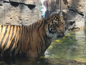 다운타운 수족관