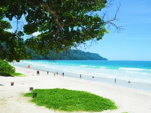 Radhanagar Beach
