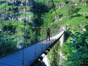 Passerelle d'Holzarte