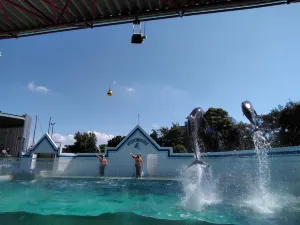Shinagawa Aquarium