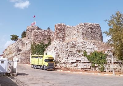Egridir