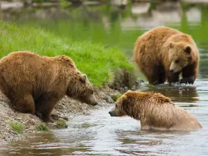 Scandinavian Wildlife Park