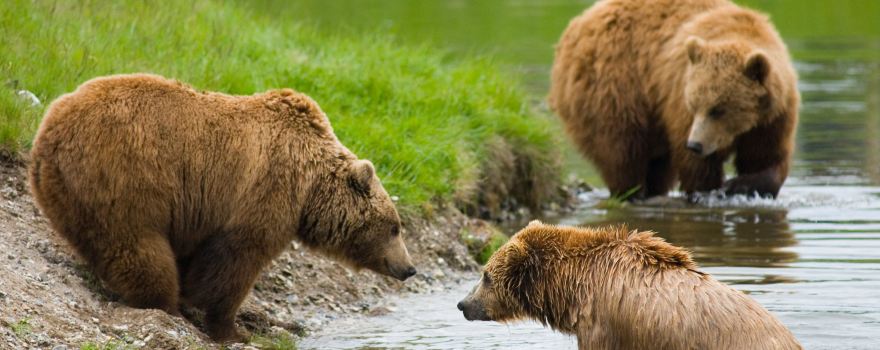 Scandinavian Wildlife Park
