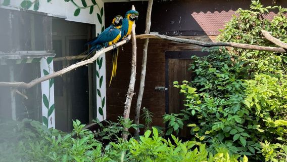 Zoo am Rammelsberg