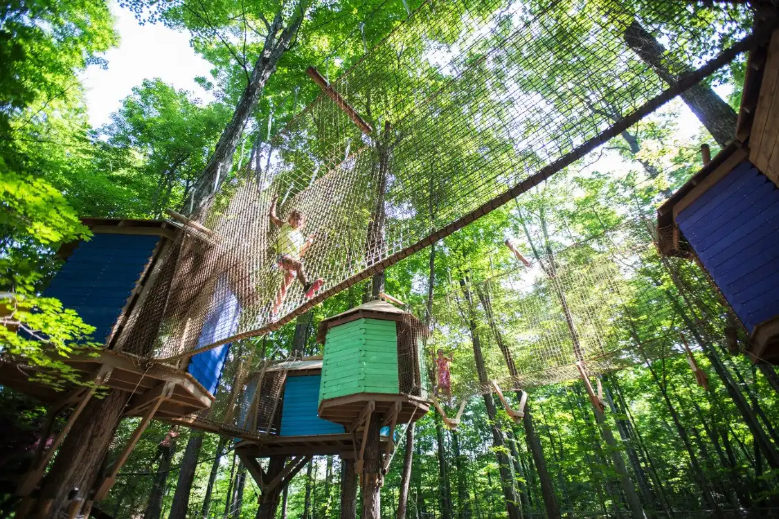 Treetop Trekking Stouffville 주변 호텔