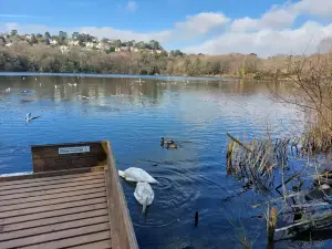Decoy Country Park