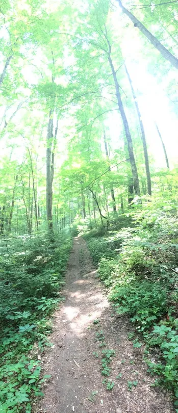 5_Sugar Hollow Park