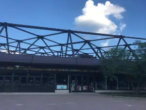 卡佛鷹眼體育場