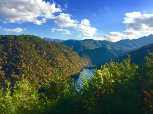 Tail of the Dragon
