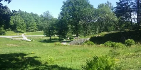 石刻藝術青銅時代岩畫世界遺產塔努姆