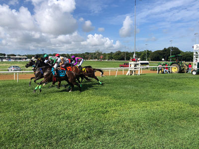 Hipódromo Garrison Savannah