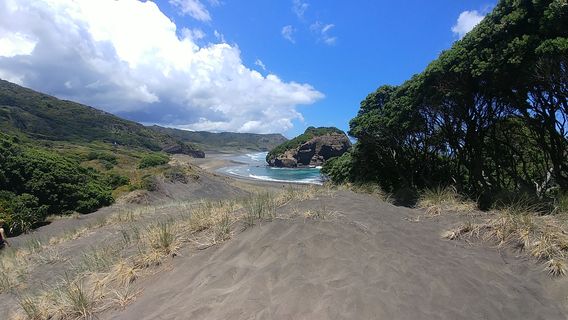 Bethells Beach