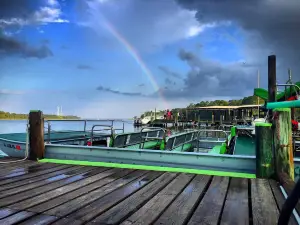 Wild Thang Airboat Tours
