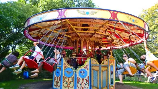 Hollycombe Steam in the Country