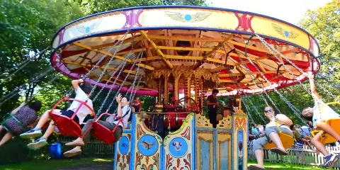 Hollycombe Steam Collection