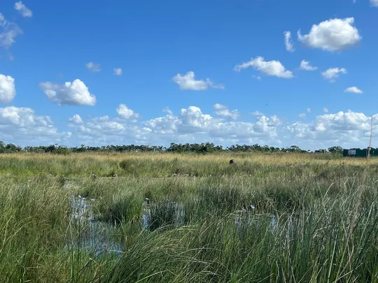 3_iSimangaliso Wetland Park