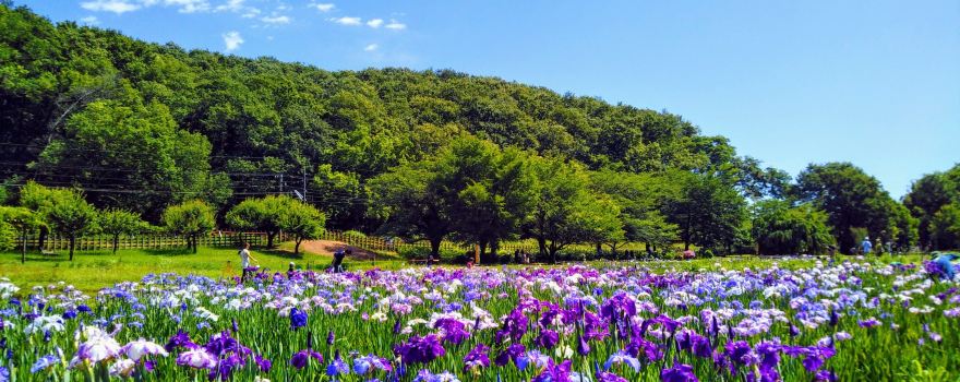 Kitayama Park