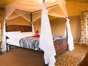 Bright African Safaris