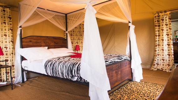 Bright African Safaris