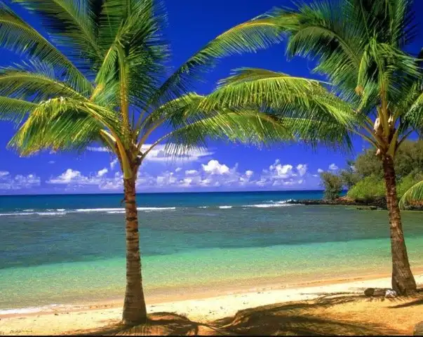 Hotels near Praia de Ipioca