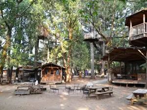 Out'n'About Treehouse Treesort LLC