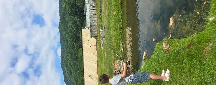 Watauga