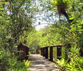 Parque Florestal Rio da Onça