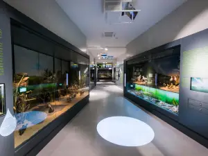 Natural History Museum in Metković