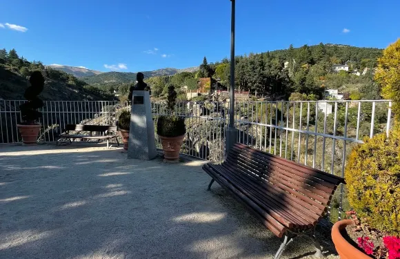 米拉弗洛迪拉希