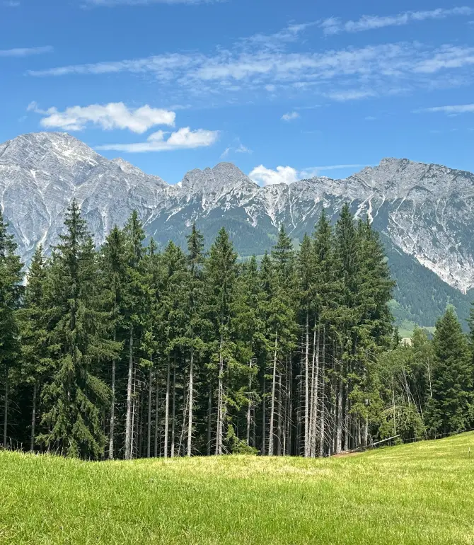 Saalfelden am Steinernen Meer