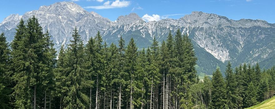 Sommerrodelbahn