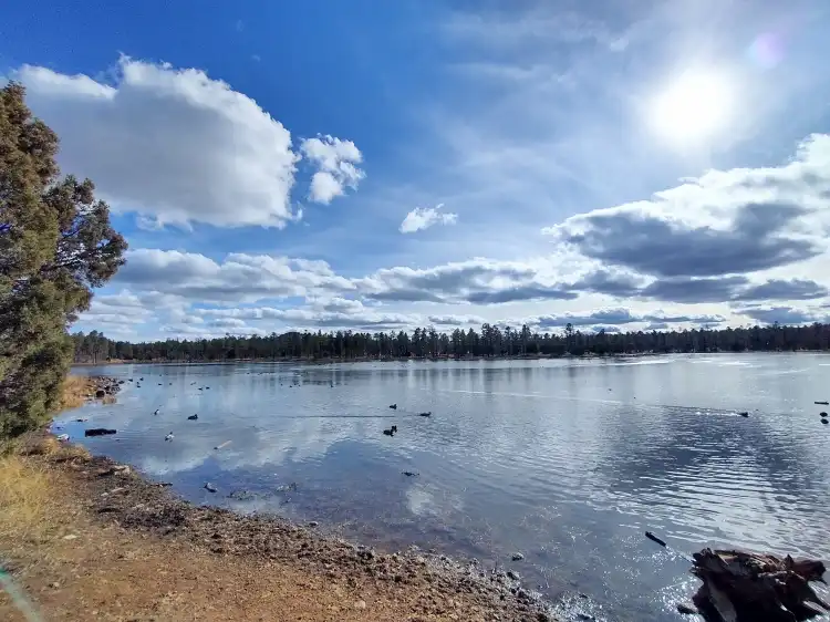 فنادق في Pinetop-Lakeside