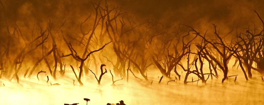 Coleto Creek Reservoir & Park