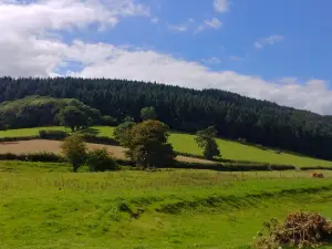 Hopton Castle