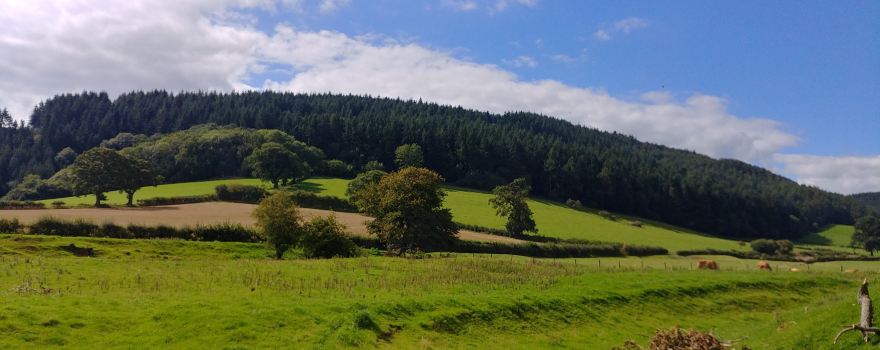 Hopton Castle