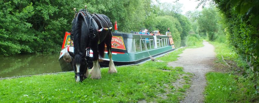 Kennet Horse Boat Company