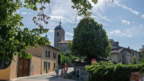 Church of Saint Mary Magdalene