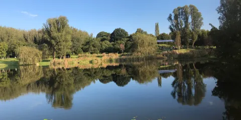 Nirox Sculpture Park