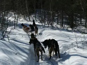 Descente Malbaie